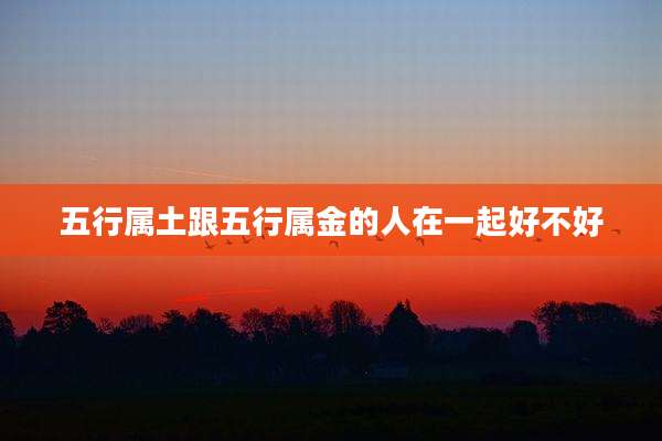 五行属土跟五行属金的人在一起好不好