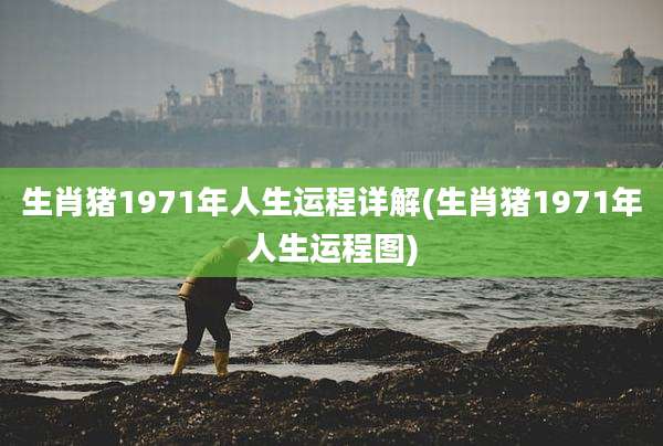 生肖猪1971年人生运程详解(生肖猪1971年人生运程图)