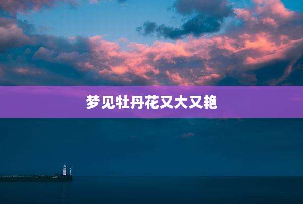 梦见牡丹花又大又艳