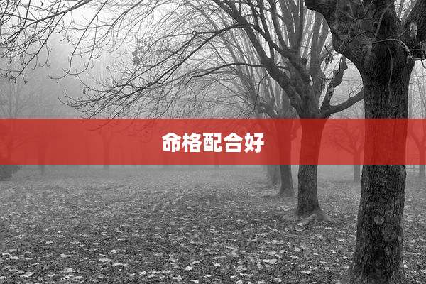 命格配合好