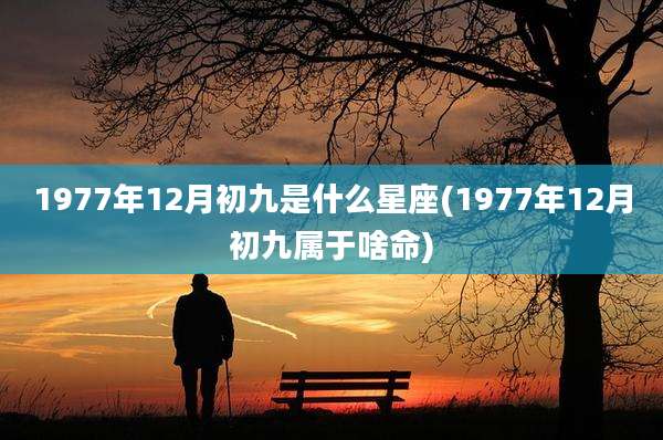 1977年12月初九是什么星座(1977年12月初九属于啥命)