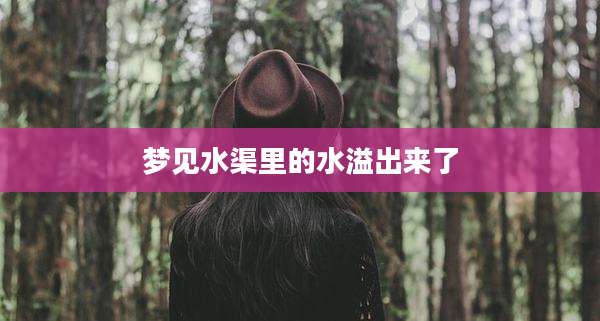 梦见水渠里的水溢出来了