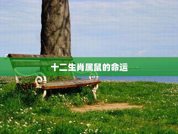 十二生肖属鼠的命运