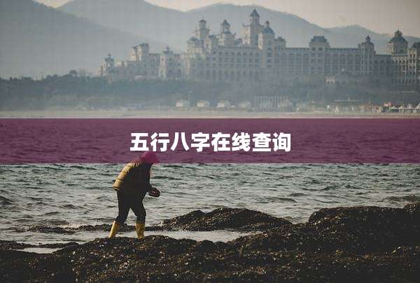 五行八字在线查询