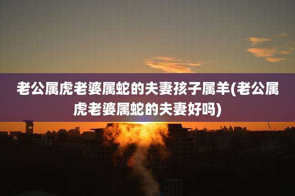 老公属虎老婆属蛇的夫妻孩子属羊(老公属虎老婆属蛇的夫妻好吗)