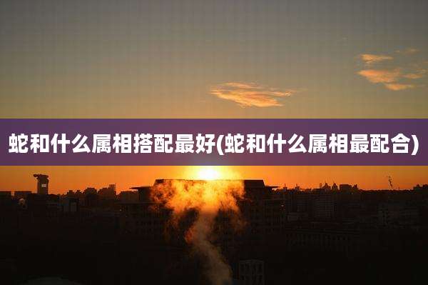 蛇和什么属相搭配最好(蛇和什么属相最配合)