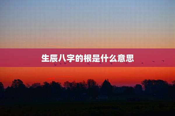 生辰八字的根是什么意思
