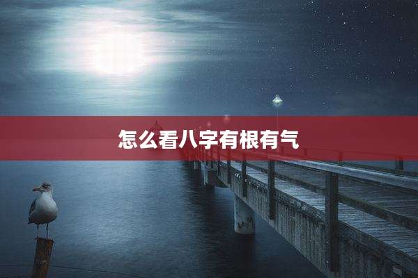 怎么看八字有根有气