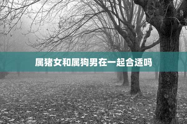 属猪女和属狗男在一起合适吗