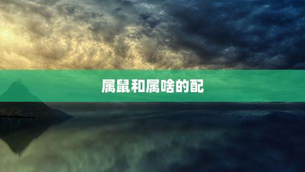 属鼠和属啥的配