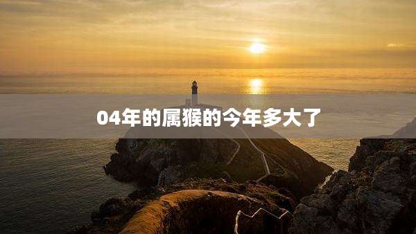 04年的属猴的今年多大了
