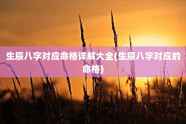 生辰八字对应命格详解大全(生辰八字对应的命格)