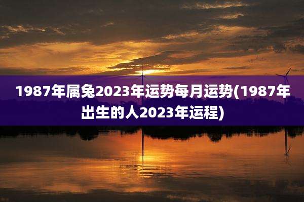 1987年属兔2023年运势每月运势(1987年出生的人2023年运程)