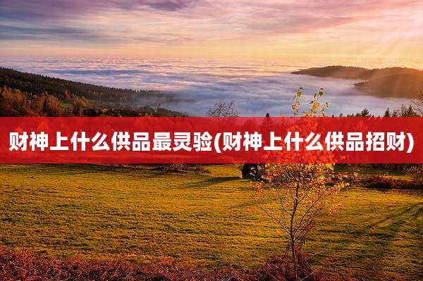 财神上什么供品最灵验(财神上什么供品招财)