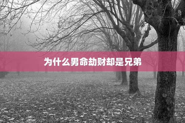 为什么男命劫财却是兄弟