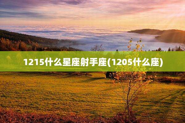 1215什么星座射手座(1205什么座)