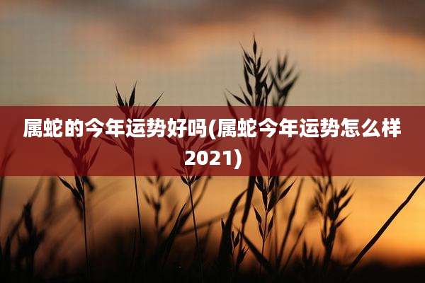 属蛇的今年运势好吗(属蛇今年运势怎么样2021)