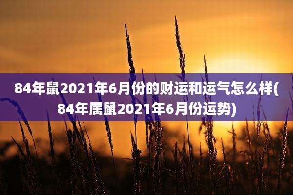 84年鼠2021年6月份的财运和运气怎么样(84年属鼠2021年6月份运势)