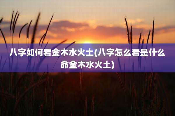八字如何看金木水火土(八字怎么看是什么命金木水火土)