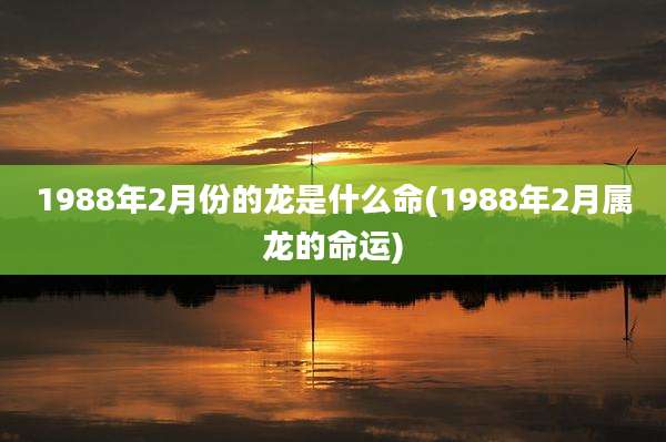 1988年2月份的龙是什么命(1988年2月属龙的命运)