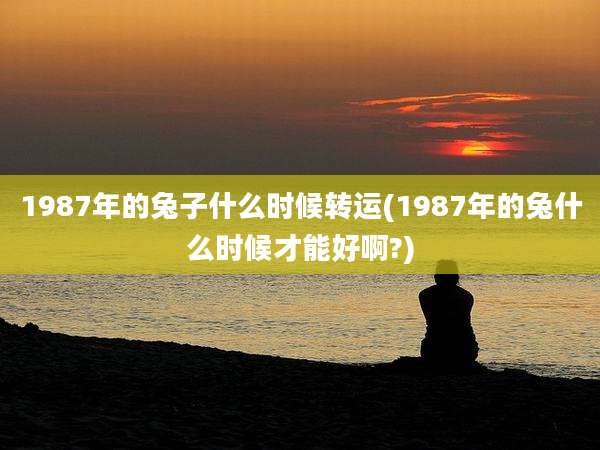 1987年的兔子什么时候转运(1987年的兔什么时候才能好啊?)