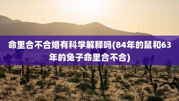命里合不合婚有科学解释吗(84年的鼠和63年的兔子命里合不合)