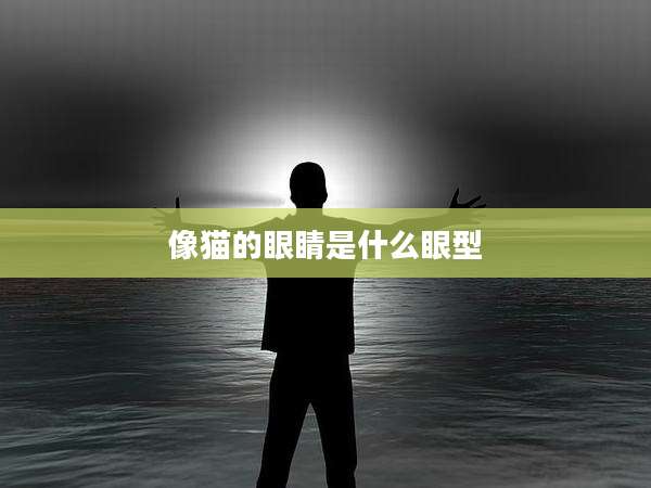 像猫的眼睛是什么眼型