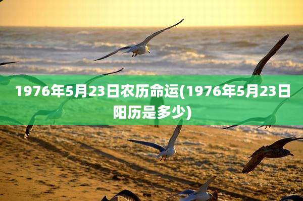 1976年5月23日农历命运(1976年5月23日阳历是多少)