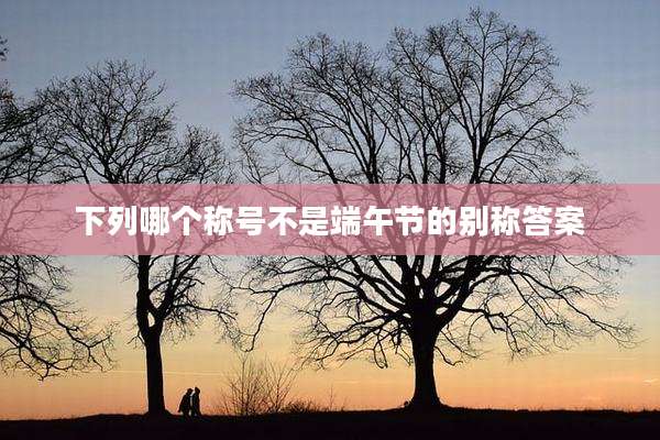 下列哪个称号不是端午节的别称答案