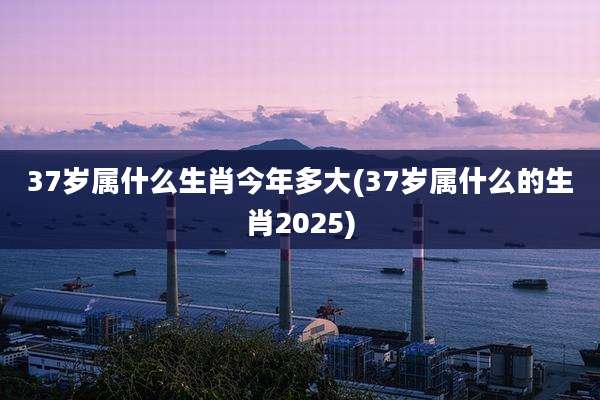 37岁属什么生肖今年多大(37岁属什么的生肖2025)