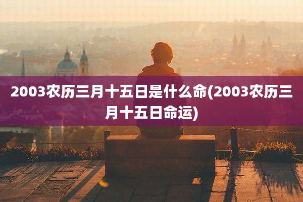 2003农历三月十五日是什么命(2003农历三月十五日命运)