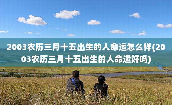 2003农历三月十五出生的人命运怎么样(2003农历三月十五出生的人命运好吗)