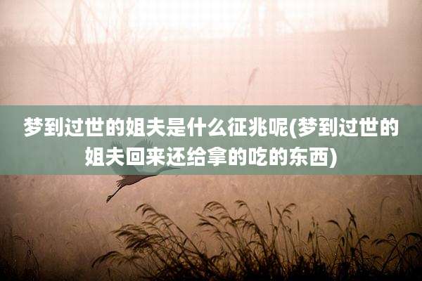 梦到过世的姐夫是什么征兆呢(梦到过世的姐夫回来还给拿的吃的东西)