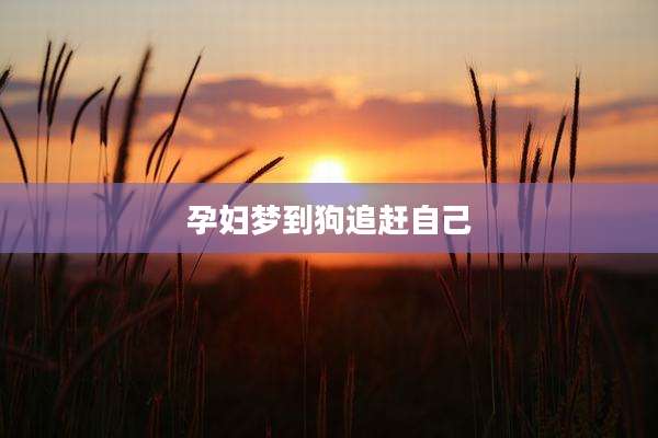 孕妇梦到狗追赶自己