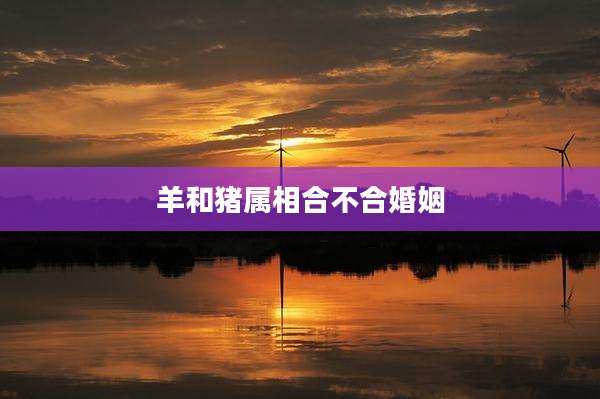 羊和猪属相合不合婚姻