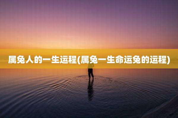 属兔人的一生运程(属兔一生命运兔的运程)