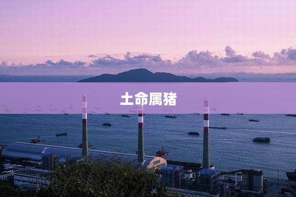 土命属猪