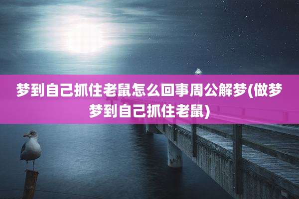 梦到自己抓住老鼠怎么回事周公解梦(做梦梦到自己抓住老鼠)