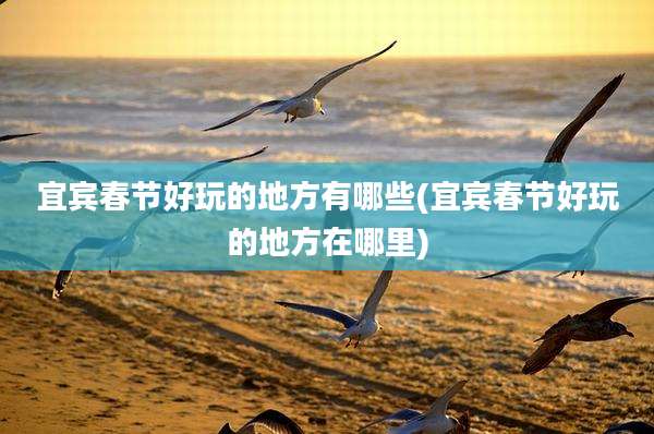 宜宾春节好玩的地方有哪些(宜宾春节好玩的地方在哪里)