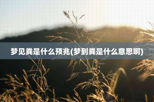 梦见粪是什么预兆(梦到粪是什么意思啊)
