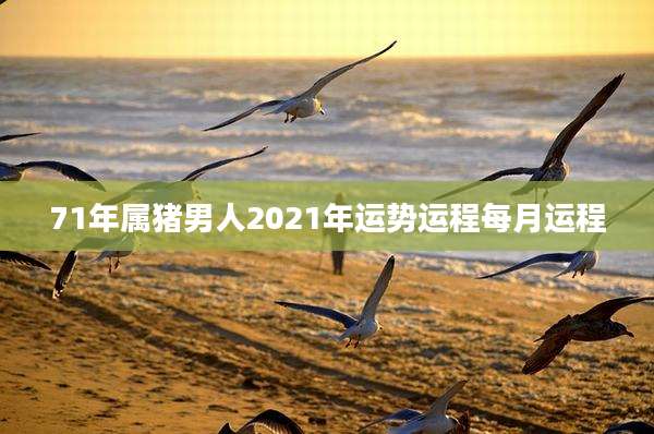 71年属猪男人2021年运势运程每月运程