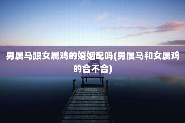 男属马跟女属鸡的婚姻配吗(男属马和女属鸡的合不合)