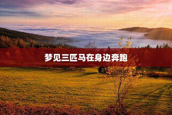 梦见三匹马在身边奔跑