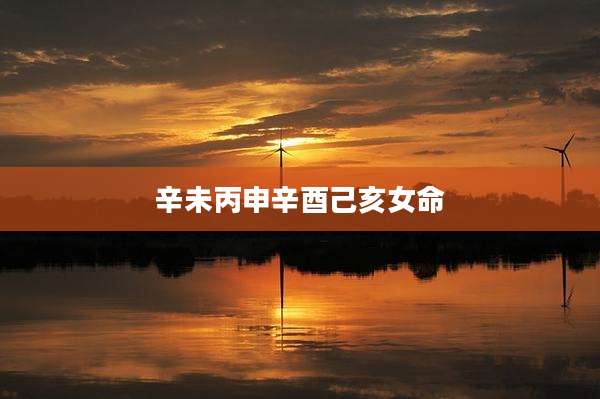 辛未丙申辛酉己亥女命