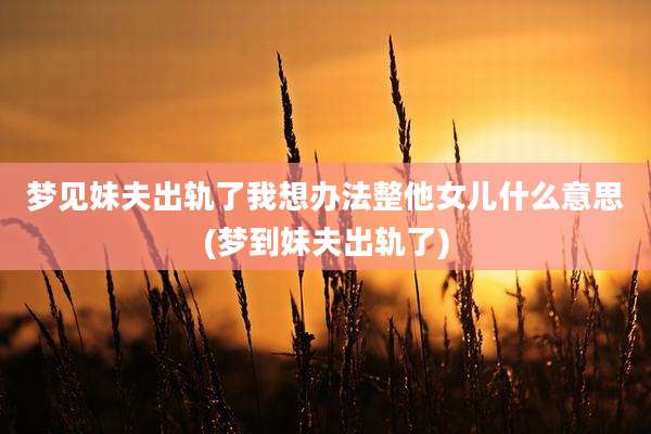 梦见妹夫出轨了我想办法整他女儿什么意思(梦到妹夫出轨了)