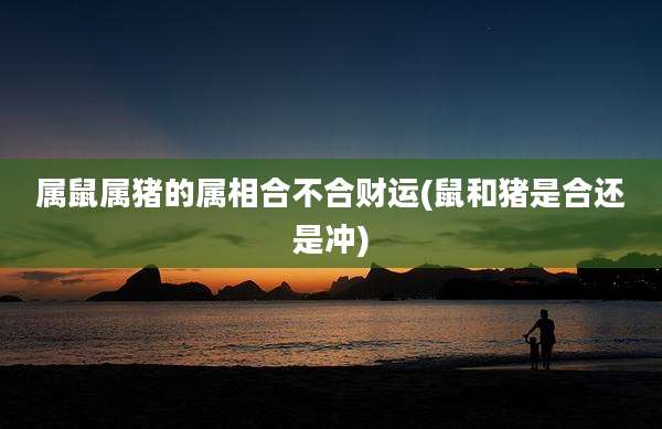 属鼠属猪的属相合不合财运(鼠和猪是合还是冲)