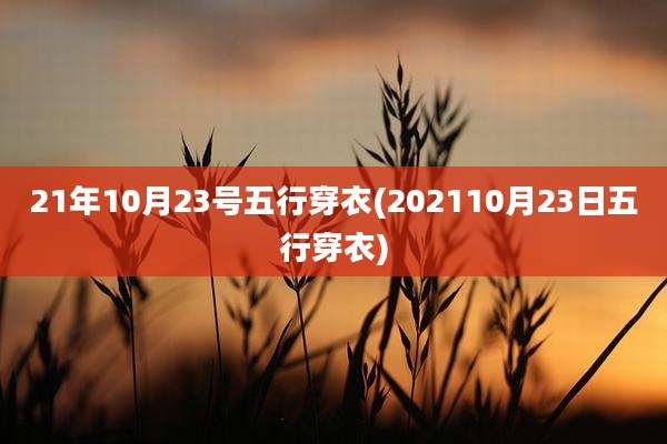 21年10月23号五行穿衣(202110月23日五行穿衣)