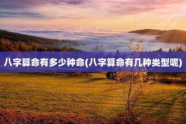 八字算命有多少种命(八字算命有几种类型呢)