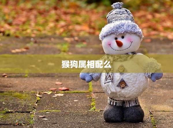 猴狗属相配么