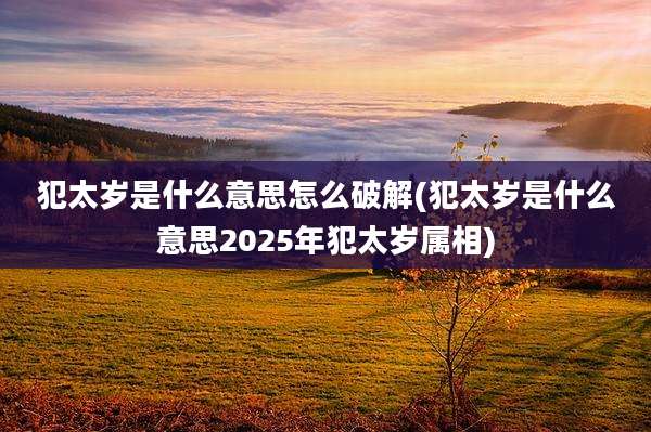 犯太岁是什么意思怎么破解(犯太岁是什么意思2025年犯太岁属相)